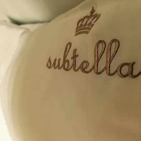 Subtella Poznan